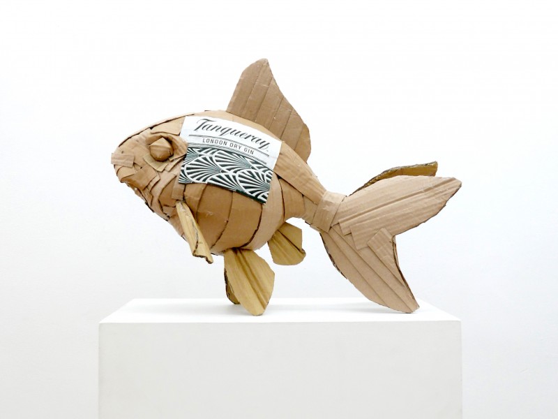 fish-2-800x600